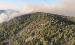 Antalya Gazipaşa’da orman yangını