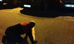 Araçların içerisine giren fareler vatandaşları alarma geçirdi