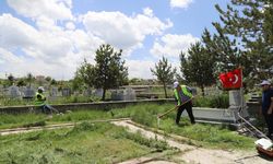 Ardahan’da bayram öncesi cami ve mezarlıklar temizleniyor