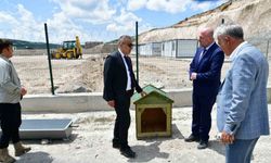 Ardahan’da sahipsiz hayvanlara yeni bir yuva
