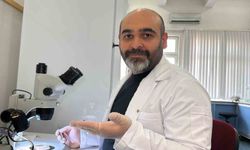 Asya uzun boynuzlu kenesi Türkiye faunasına girdi