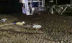 Atık dökülen alanda mahsur kalan koyunu itfaiyeciler kurtardı