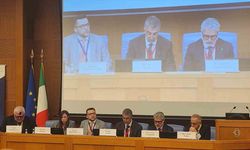 Aydın, İtalya’da AGİT bölgesinde organize suçlarla mücadeleye ilişkin parlamentolar arası konferansa katıldı