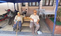 Aydın’da termometreler 39’u gösterdi, vatandaşlar gölgeye sığındı