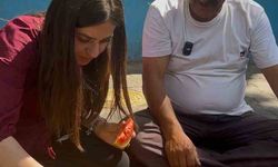 Aydın’da yapay zeka testi, yapay zeka karpuz seçiminde sınıfta kaldı