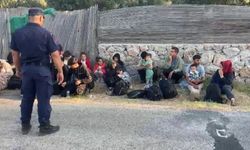 Ayvacık’ta 30 kaçak göçmen yakalandı