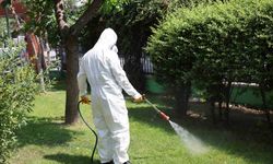 Bağcılar’da parklar ve yeşil alanlar ilaçlanıyor