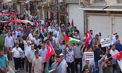 Bakan Işıkhan, Mardin’de Gazze’ye destek yürüyüşüne katıldı