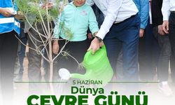 Bakan Tunç: "2015 yılından günümüze e-Tebligat göndererek 177 bin 655 ağacı kesilmekten kurtardık"