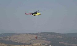 Balıkesir’de orman yangını