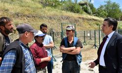 Başkan Durgut’tan hayvan pazarında Kurban Bayramı öncesi inceleme
