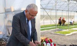 Başkan Güler: "Peyzaj çalışmalarında çiçekleri dışarıdan almıyor, yetiştiriyoruz"