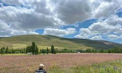 Bayburt ve Aydıntepe’de yem bitkileri için saha çalışmaları başlatıldı