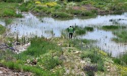 Bayburt’ta kene, bit, pire ve larvalara karşı çalışma başlatıldı