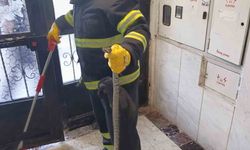 Bilecik’te bir apartmana giren yılan itfaiye ekiplerince yakalandı