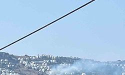 Bodrum’daki yangın büyümeden söndürüldü
