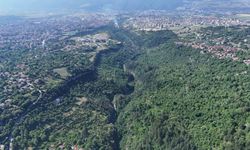 Bulak Kanyonu, Karabük Belediyesi’nin projesiyle doğa turizmine açılıyor