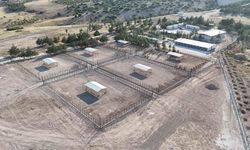Burdur’da sahipsiz hayvanlar için modern rehabilitasyon ve doğal yaşam tesisi açıldı