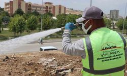 Büyükşehir belediyesinden ilaçlama seferberliği