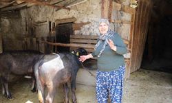 Büyükşehir destekledi üretici kazandı