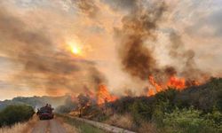 Çanakkale’de otluk alanda yangın