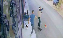 Çılgın kedilerin saldırısı güvenlik kamerasında