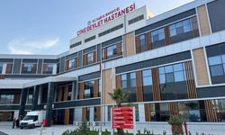 Çine’de 3 ayda yaklaşık bir yıllık doğum gerçekleşti