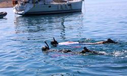 Deniz dibi temizliği sürüyor