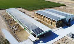 Denizli tarımına 87.4 milyonluk destek