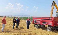 Denizli’de buğday hasadı başladı