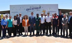 Didim’de hayvan barınağı denetlendi