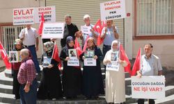 Diyarbakır’da 384’üncü aile evlat nöbetine katıldı
