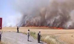 Diyarbakır’da bin dönümden fazla biçilmemiş buğday ve arpa yangında kül oldu
