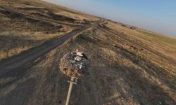 Diyarbakır’da leylekler yuvalarına döndü