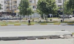 Diyarbakır’da sürü halinde gezen köpekler vatandaşları korkuttu