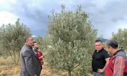 Dolunun vurduğu Esençay’da hasar tespiti yapıldı