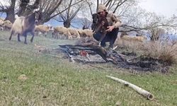 Doluya yakalanan sürüde ıslanan oğlağı ateş yakarak ısıttı