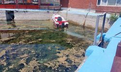 DSİ izinsiz boşaltılan Sakaryabaşı için hukuki süreç başlattı