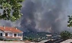 Edirne’de orman yangınına havadan ve karadan müdahale ediliyor