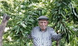 Ege bu yıl meyveye hasret