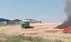 Ekili alanlar cayır cayır yandı