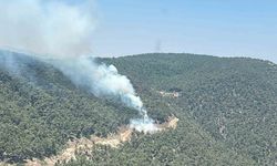 Ekipler orman yangını için seferber oldu
