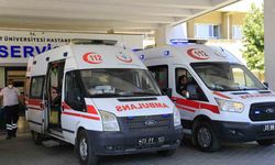 Elazığ’da kenenin ısırdığı adam hastaneye kaldırıldı