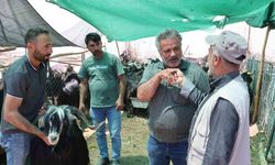 Elazığ’da ’kol kıran’ pazarlıklar sürüyor