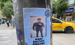 Elektrik direklerine asılan "Ehliyet sınavını geçti" broşürü ilgi çekti