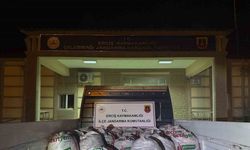Erciş’te 2 ton kaçak avlanmış balık ele geçirildi