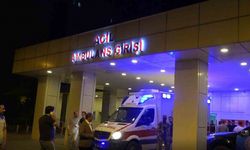 Erciş’te traktörün altında kalan çocuk hayatını kaybetti