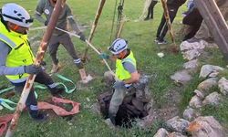 Eruh’ta kuyuya düşen dana kurtarıldı