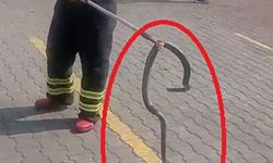 Fabrikaya giren yılanı itfaiye ekipleri yakaladı