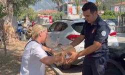 Fethiye’de otomobilde sıkışan yavru kedi kurtarıldı